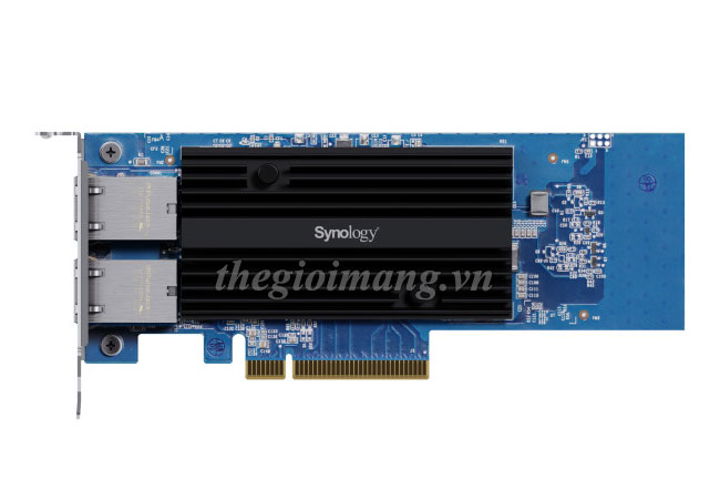 Synology E10G30-T2