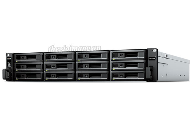 Synology Expansion RX1222sas
