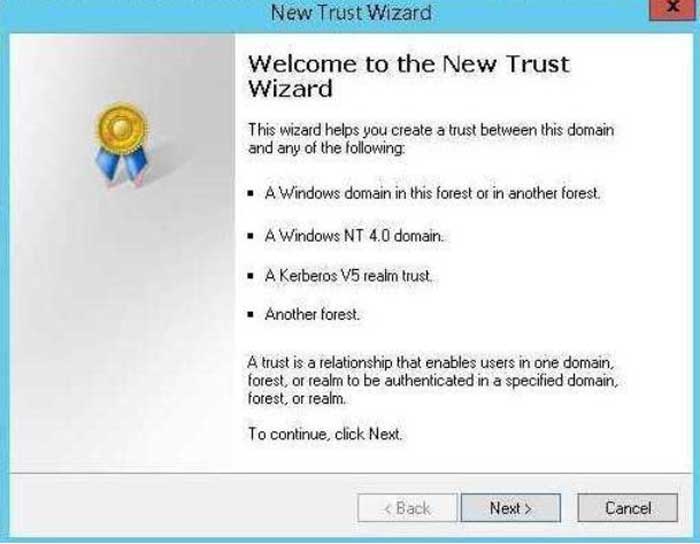 Forest-Trust-12.jpg