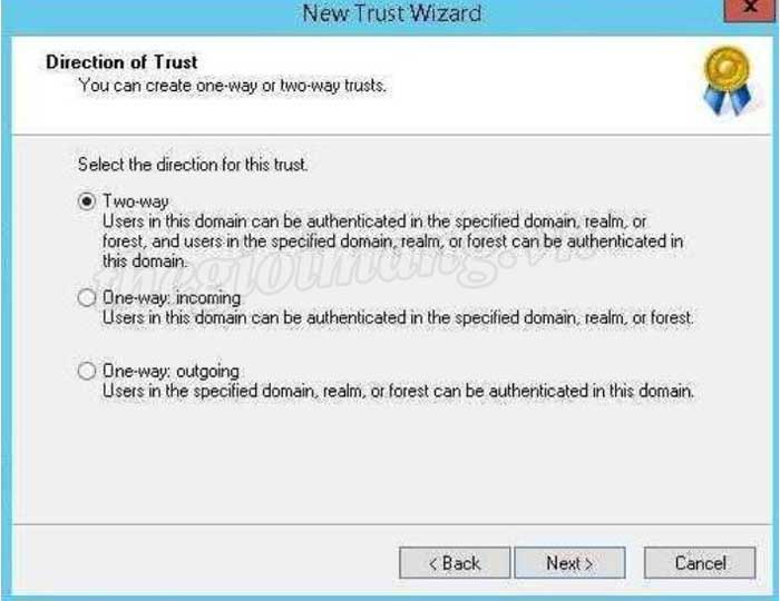 Forest-Trust-15.jpg